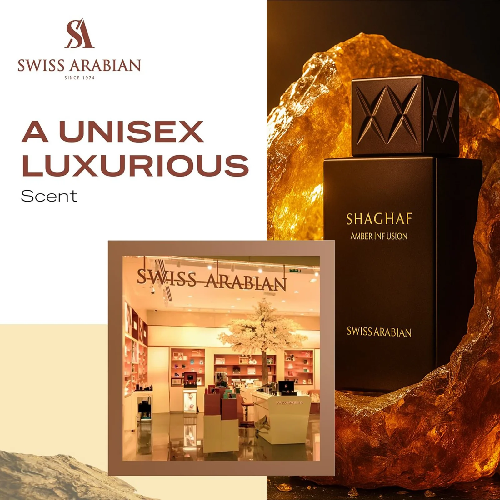 SHAGHAF AMBER INFUSION - Image 4