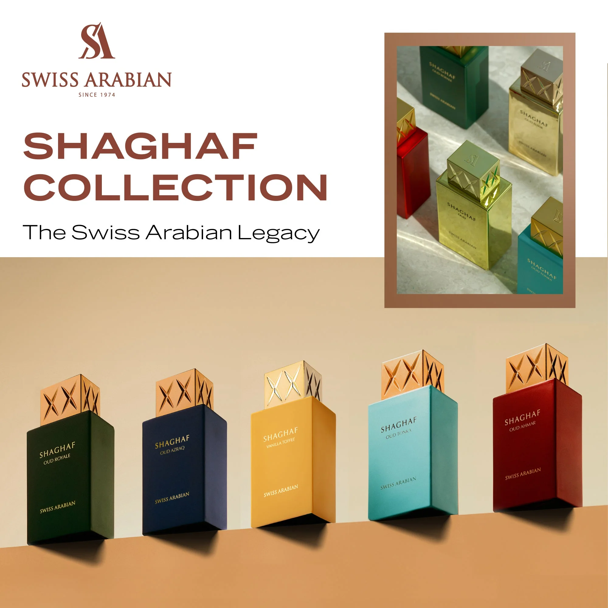 SHAGHAF - Image 7